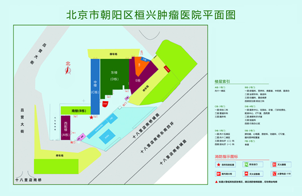 后入极品大屁北京市朝阳区桓兴肿瘤医院平面图